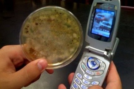 Public Health: New research on contamination of UK mobile phones and hands