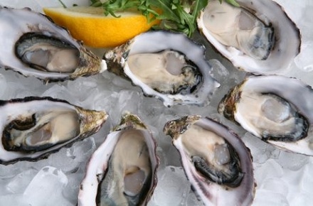 Food Safety: FSA publish research on norovirus levels in oysters