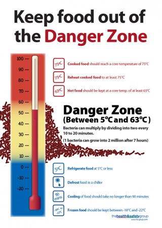 Danger Zone Hygiene Posters (A3)