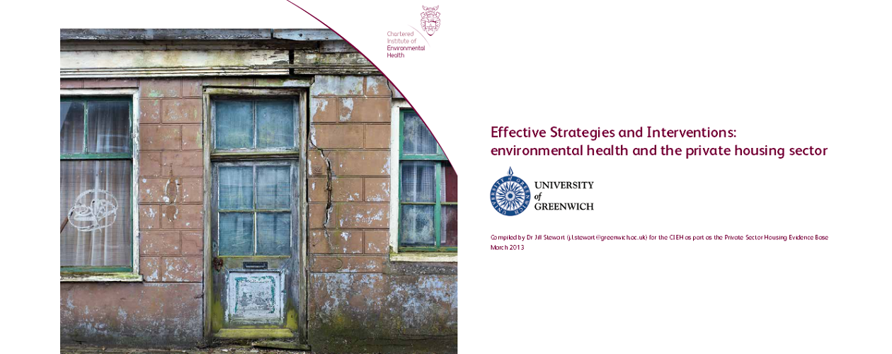 Housing: Private housing sector efffective strategies & interventions published